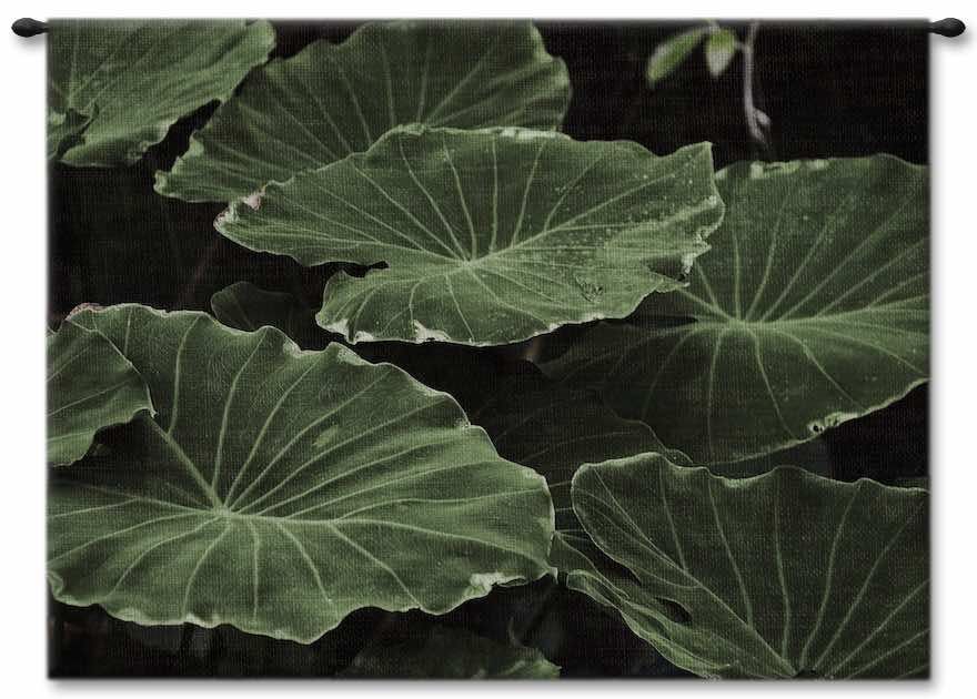 Big Leaves Wall Tapestry Carolina, USAwoven, Cotton, Hanging, Tapestries, Tapestry, Wall, Woven, Photograph, Photography, Exclusive, tapestries, tapestrys, hangings, and, the
