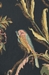 Birds Black Belgian Wall Tapestry - W-1632-24