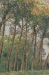 Canal in Flanders Mill Belgian Wall Tapestry - W-1660-31