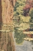 Lake Giverny Belgian Wall Tapestry - W-1667-39