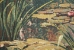 Lake Giverny Square Belgian Wall Tapestry - W-1670-41