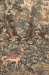 Verdure and Reindeer Wall Tapestry - W-3159-36