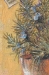 Rosemary Belgian Wall Tapestry - W-3925-17