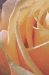 Yellow Rose Belgian Wall Tapestry - W-4964