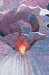 The Journey Never Ends Belgian Wall Tapestry - W-4969-21