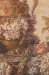 Medieval Still Life French Wall Tapestry - W-4-44