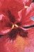 Gratitude - Simon Bull Belgian Wall Tapestry - W-5338-21