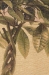 Le Ficus French Wall Tapestry - W-688-30