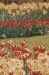Keukenhof II Mini Belgian Wall Tapestry - W-6926