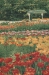 Keukenhof IV Belgian Wall Tapestry - W-6928-40