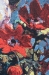 Bouquet - Simon Bull Belgian Wall Tapestry - W-7070