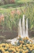 Butchart Gardens of Victoria Tall Belgian Wall Tapestry - W-1756