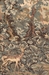 Verdure and Reindeer Wall Tapestry - W-3159-36
