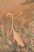 Le Point Deau Flamant Rose French Wall Tapestry - W-669
